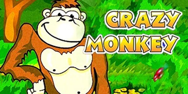 Игровые автоматы crazy monkey: играть в обезьяны онлайн, обзор